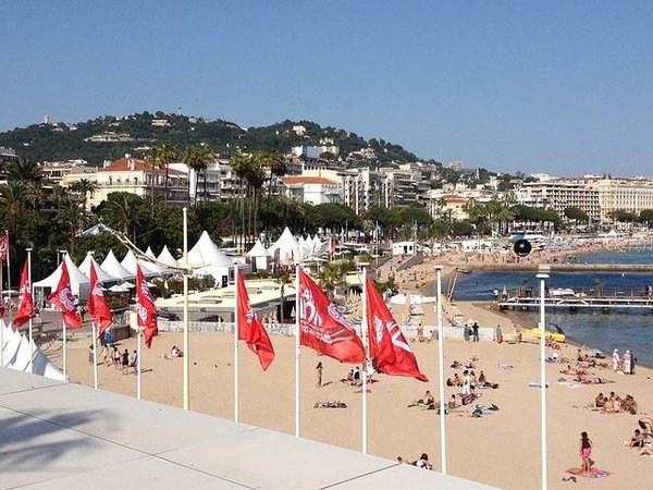 Les Festivals en France: Quel est le plus populaire?